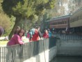/album/foto-de-la-actividades/p1380928-jpg/