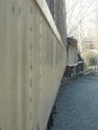 /album/foto-de-la-actividades/p1380940-jpg/