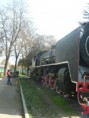/album/foto-de-la-actividades/p1380963-jpg/
