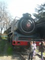 /album/foto-de-la-actividades/p1380969-jpg/