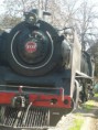 /album/foto-de-la-actividades/p1380972-jpg/