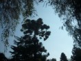 /album/foto-de-la-actividades/p1380975-jpg/