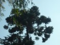 /album/foto-de-la-actividades/p1380976-jpg/