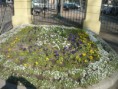 /album/foto-de-la-actividades/p1380978-jpg/